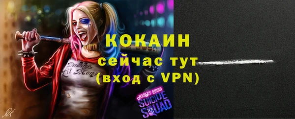 сатива Абинск