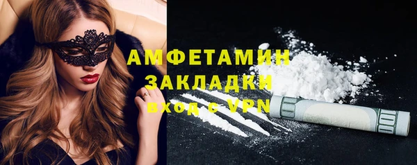 хмурый Алексин