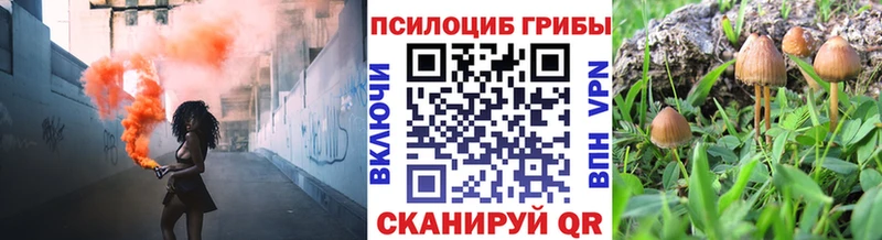 Псилоцибиновые грибы GOLDEN TEACHER  как найти наркотики  Кораблино 